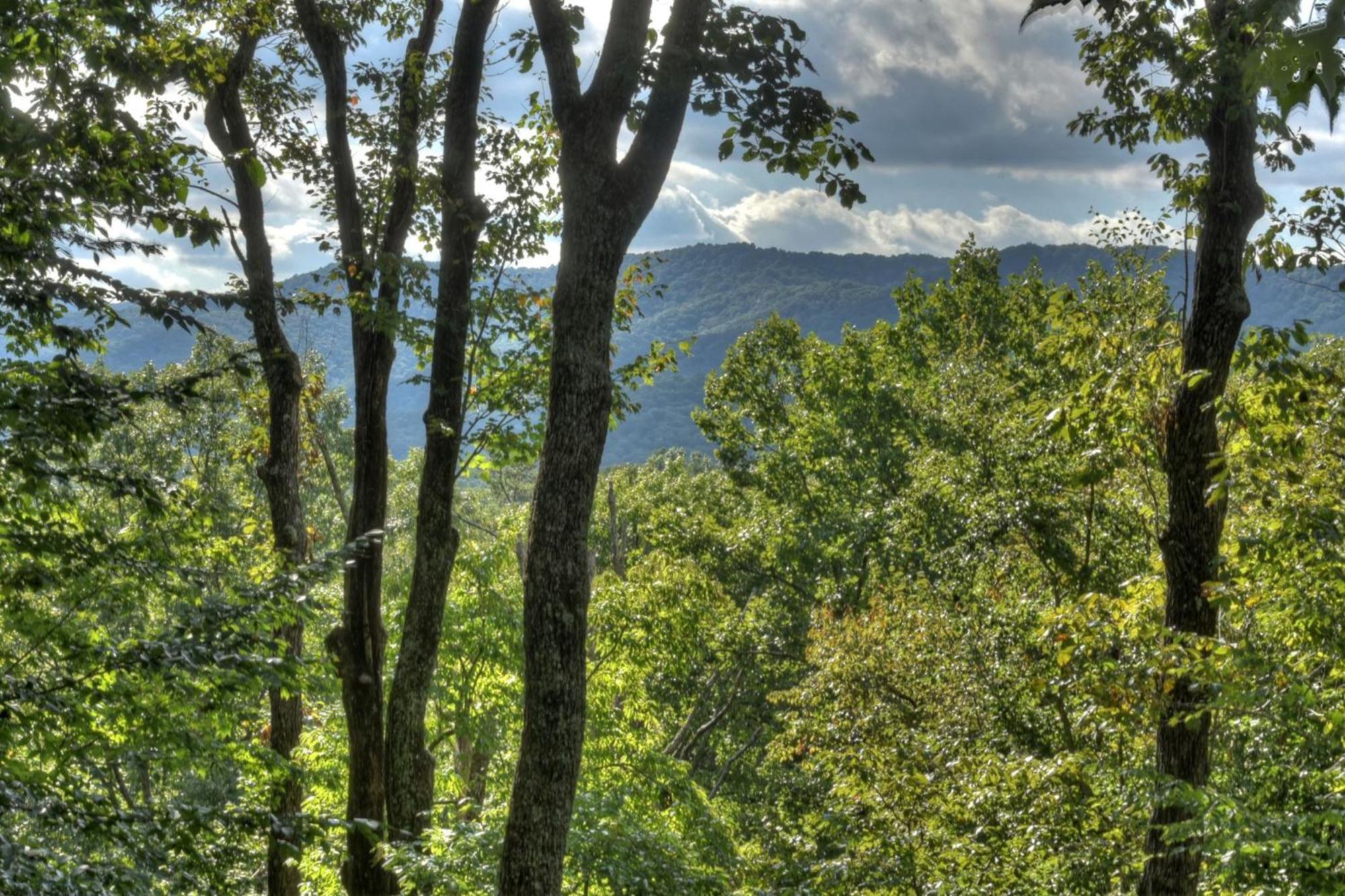 Bearfoot Ridge Wood-Burning Fireplace Cozy Hot Tub Serene Views Ellijay Buitenkant foto